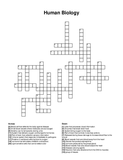 Human Biology Crossword Puzzle