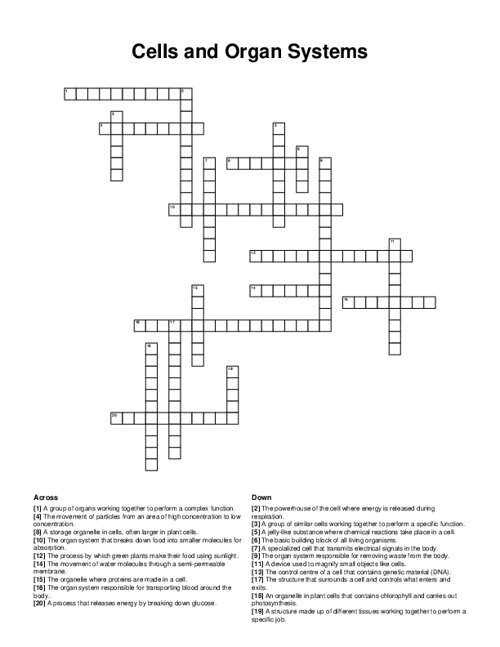 Cells and Organ Systems Crossword Puzzle