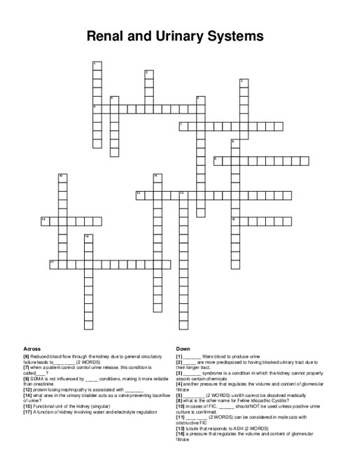 Renal and Urinary Systems Crossword Puzzle