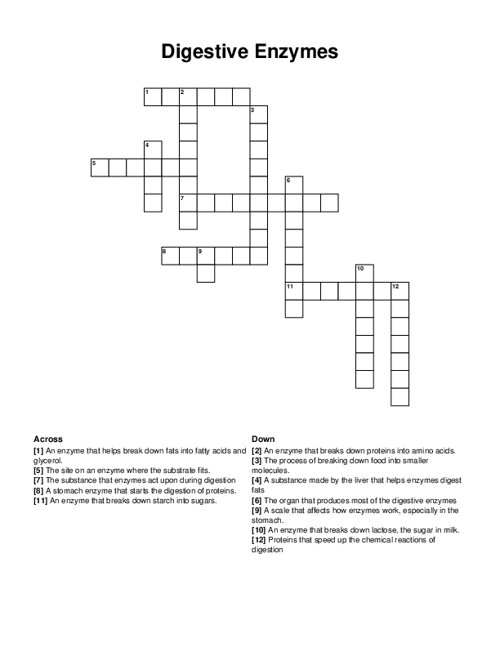 Digestive Enzymes Crossword Puzzle