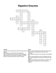 Digestive Enzymes crossword puzzle