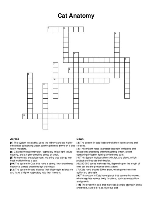 Cat Anatomy Crossword Puzzle