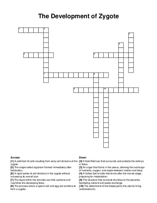 The Development of Zygote Crossword Puzzle