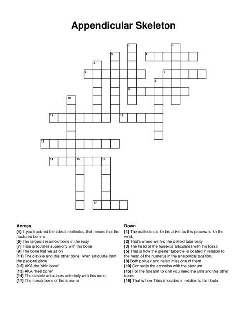 Appendicular Skeleton Crossword Puzzle