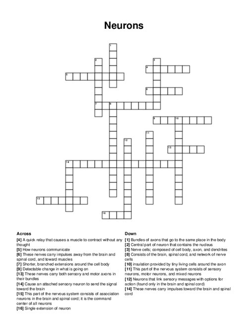 Neurons Crossword Puzzle