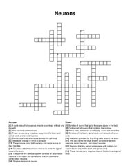 Neurons crossword puzzle