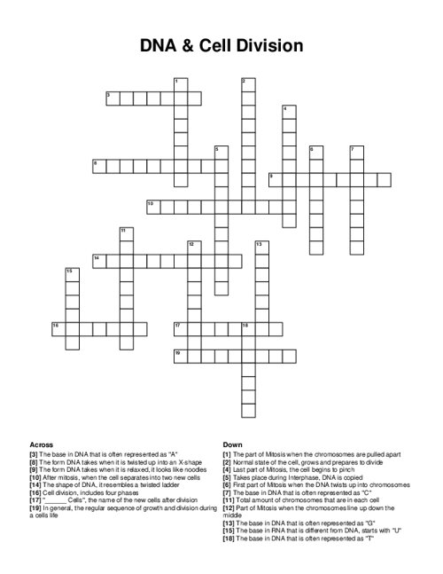 DNA & Cell Division Crossword Puzzle