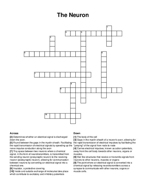 The Neuron Crossword Puzzle