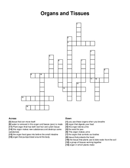 Organs and Tissues Crossword Puzzle