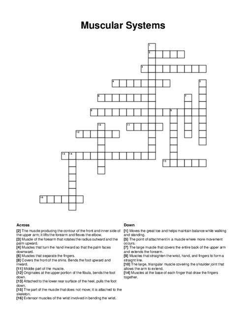 Muscular Systems Crossword Puzzle