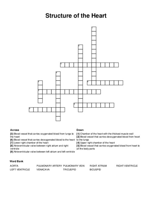 Structure of the Heart Crossword Puzzle