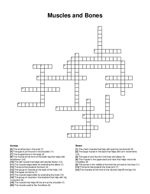 Muscles and Bones Crossword Puzzle