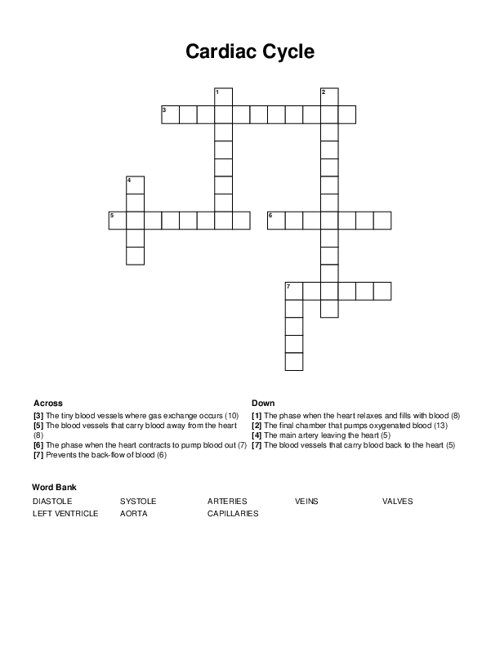 Cardiac Cycle Crossword Puzzle