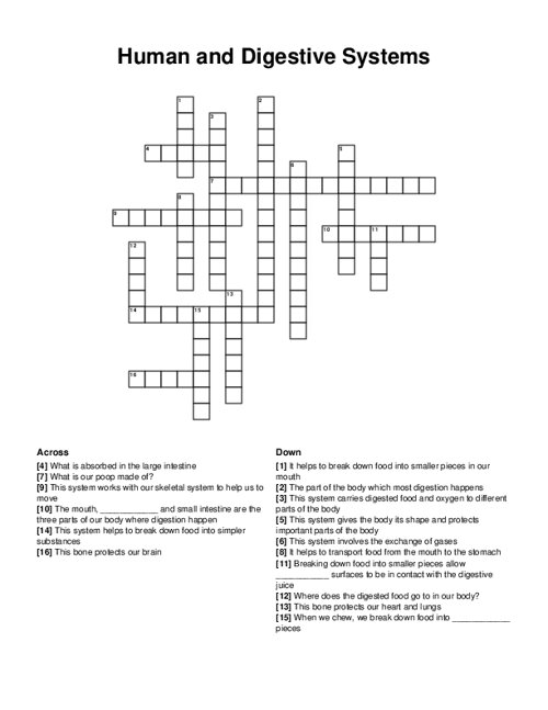 Human and Digestive Systems Crossword Puzzle