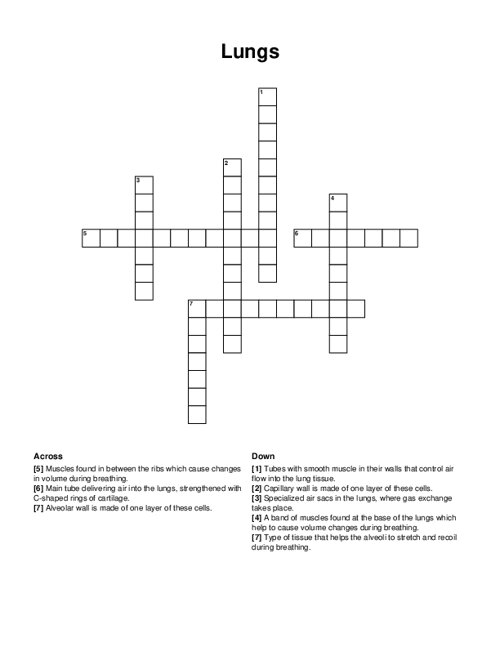 Lungs Crossword Puzzle