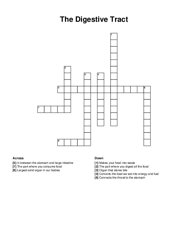 The Digestive Tract crossword puzzle