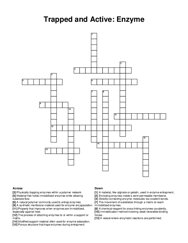 Trapped and Active: Enzyme crossword puzzle