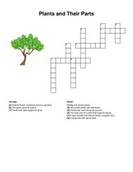 Plants and Their Parts crossword puzzle