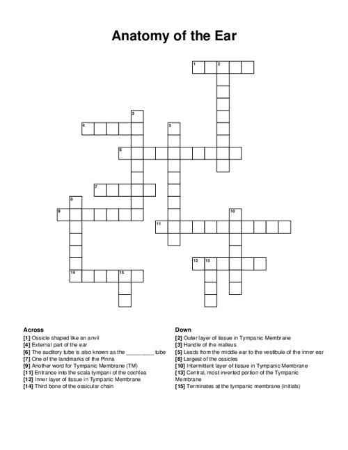 Anatomy of the Ear Crossword Puzzle