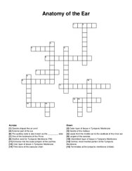 Anatomy of the Ear crossword puzzle