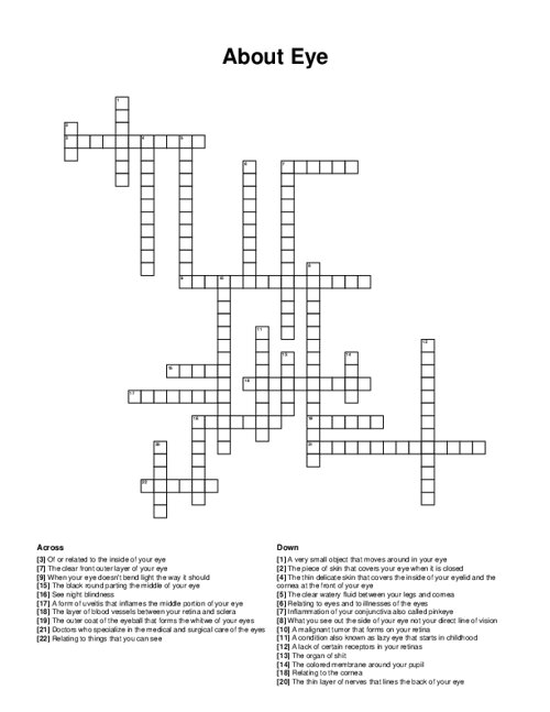About Eye Crossword Puzzle