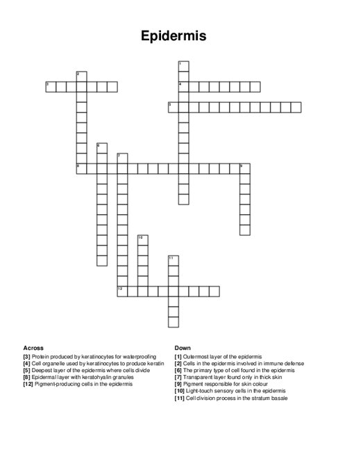 Epidermis Crossword Puzzle