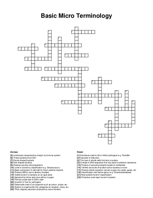 Basic Micro Terminology Crossword Puzzle