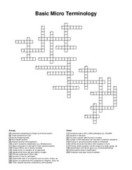 Basic Micro Terminology crossword puzzle
