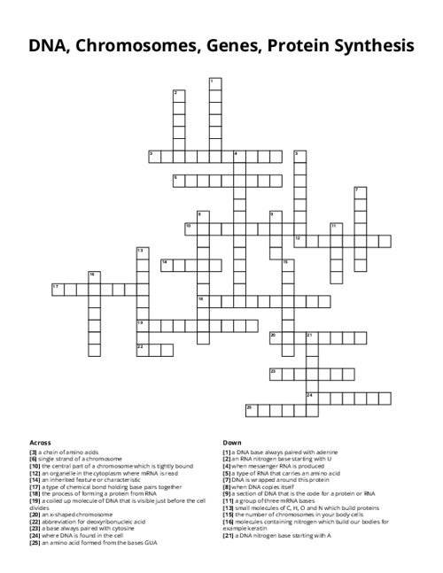 DNA, Chromosomes, Genes, Protein Synthesis Crossword Puzzle
