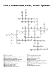 DNA, Chromosomes, Genes, Protein Synthesis crossword puzzle