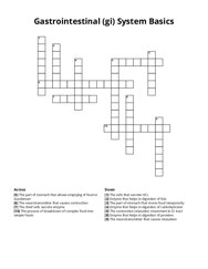 Gastrointestinal (gi) System Basics crossword puzzle