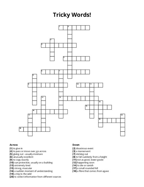 Tricky Words! Crossword Puzzle