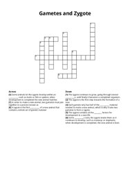 Gametes and Zygote Crossword Puzzle