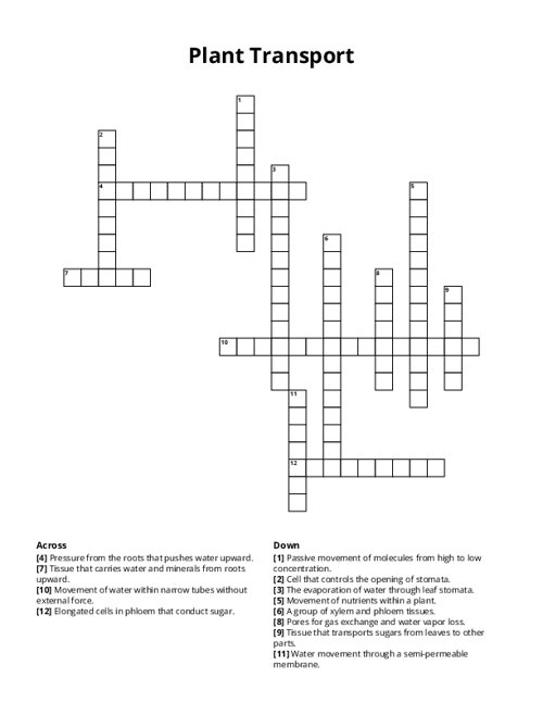Plant Transport Crossword Puzzle