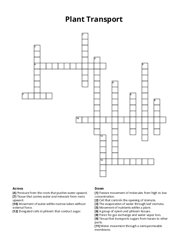Plant Transport crossword puzzle