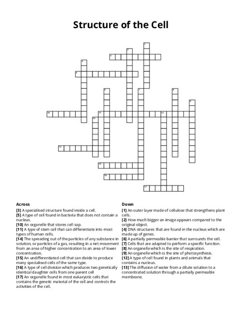 Structure of the Cell Crossword Puzzle