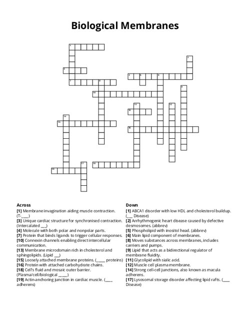 Biological Membranes Crossword Puzzle