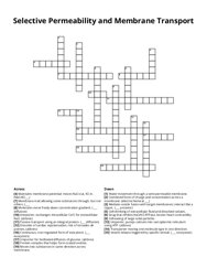 Selective Permeability and Membrane Transport crossword puzzle