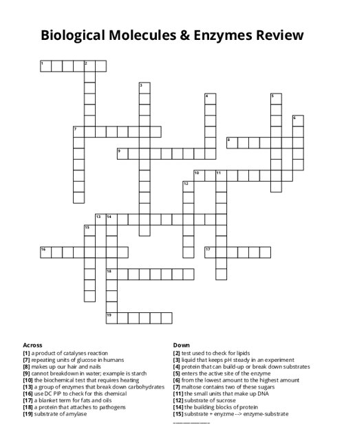 Biological Molecules & Enzymes Review Crossword Puzzle