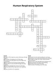 Human Respiratory System crossword puzzle