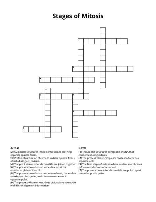 Stages of Mitosis Crossword Puzzle