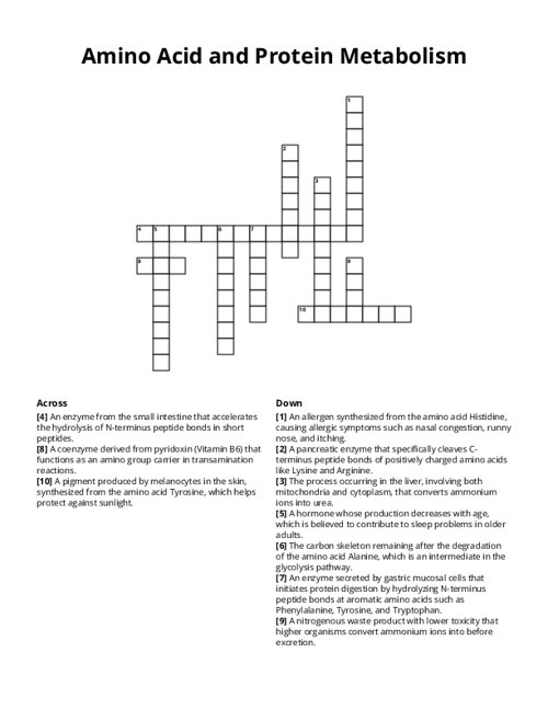 Amino Acid and Protein Metabolism Crossword Puzzle