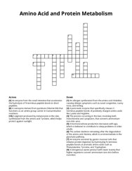 Amino Acid and Protein Metabolism crossword puzzle