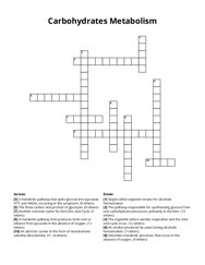 Carbohydrates Metabolism crossword puzzle