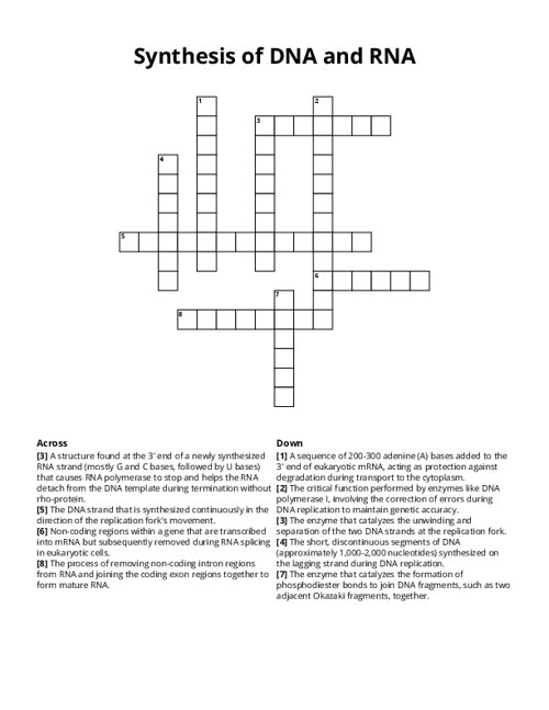 Synthesis of DNA and RNA Crossword Puzzle
