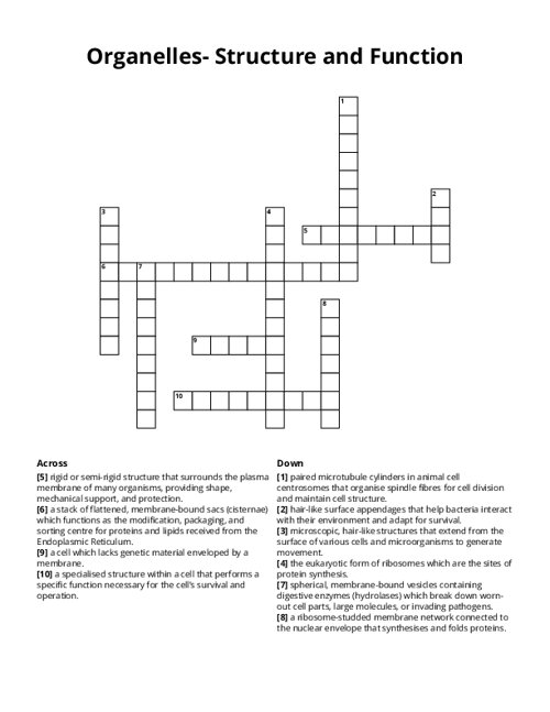 Organelles- Structure and Function Crossword Puzzle