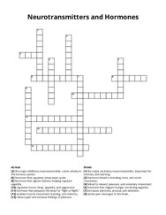 Neurotransmitters and Hormones crossword puzzle