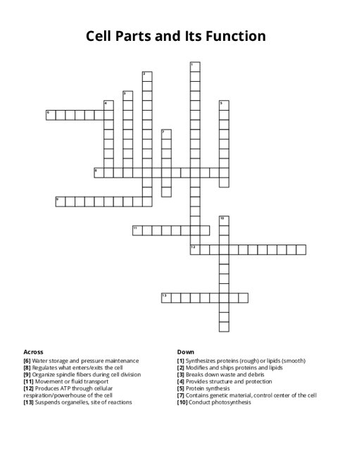 Cell Parts and Its Function Crossword Puzzle