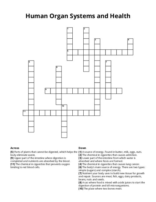 Human Organ Systems and Health Crossword Puzzle