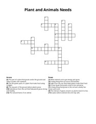 Plant and Animals Needs crossword puzzle